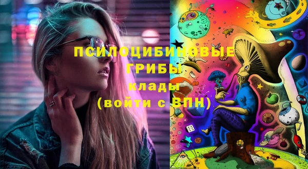 не бодяженный Горно-Алтайск