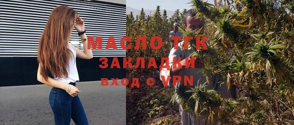 мдпв Вяземский