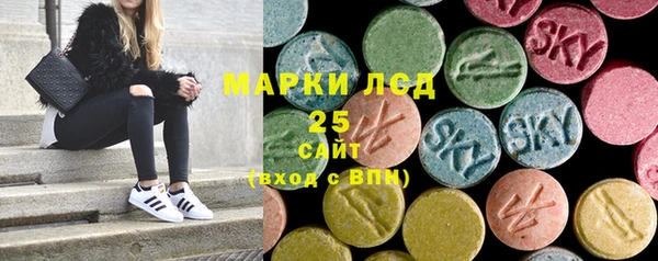 мдпв Вяземский